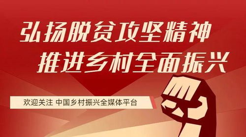 25個縣獲住建部與財政部聯合補貼，存算一體成縣域服務新引擎