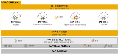 SAP商務云產品自學指南 電商云、銷售云與營銷云業務知識入門